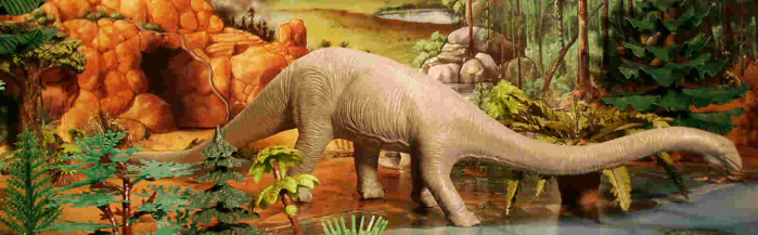 Klein Welka Diplodocus