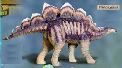 Stegosaurus