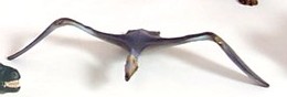Pteranodon