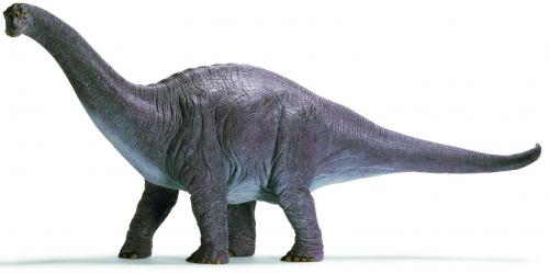 Apatosaurus