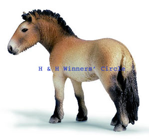 Przevalski horse Przevalski horse