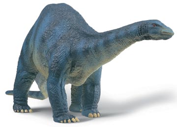 Apatosaurus