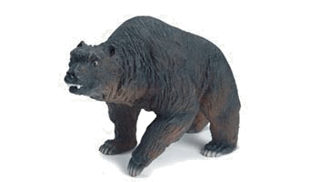 Cave Bear Cave Bear