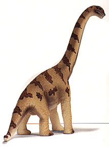 Brachiosaurus Brachiosaurus
