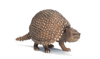 Glyptodon