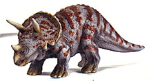 Triceratops Triceratops