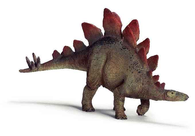 Stegosaurus