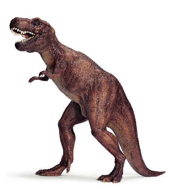 Tyrannosaurus