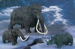 AAA Large Mammoth medium mammoth and woolly rhino