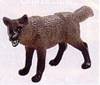 Canis dirus (Dire Wolf)