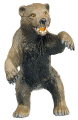 Ursus spealus (Cave Bear) 
