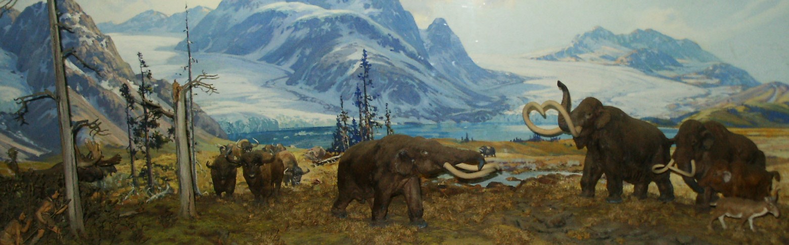 Pictures Of The Ice Age Diorama 40