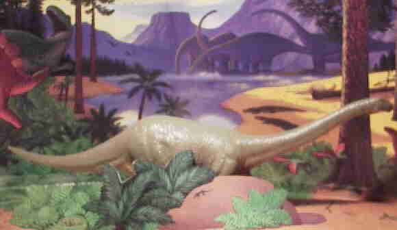 Cetiosaurus