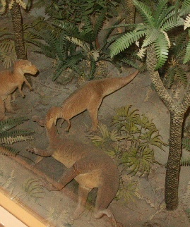 Smoithsonian natural History Diorama