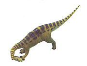 invicta Baryonyx