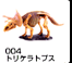 004?g???P???g?v?X?i???i?j