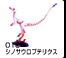 010?V?m?T?E???v?e???N?X