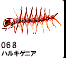 068ƒnƒ‹ƒLƒQƒjƒA