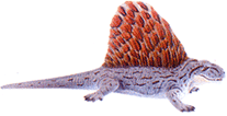 dimetrodon