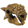 Tarchia
