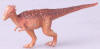 Pacycephlasaurus