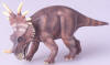 Styracosaurus