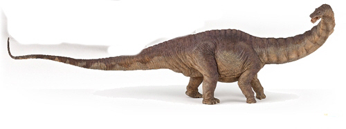 Apatosaurus 2015