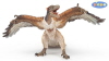 Archaeopteryx papo