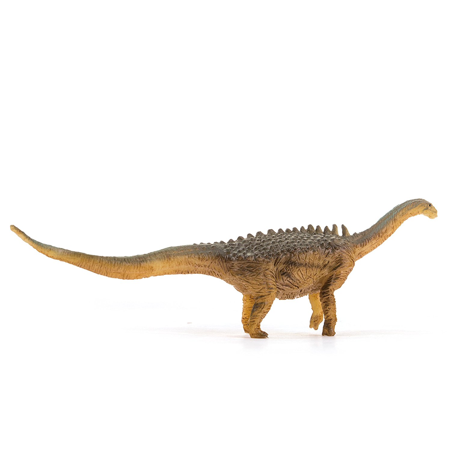 PNSO Ampleosaurus