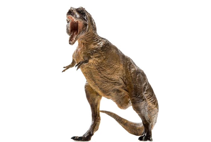 PNSO Tyrannosaurus