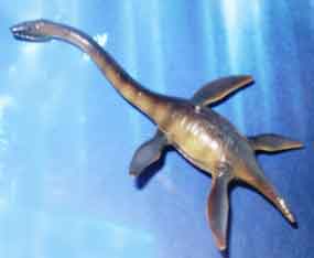 Kinto Plesiosaur