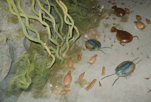 Smithsonian Natural History Museum