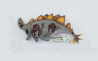 Stegosaurus corps