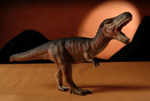 Toyway British Natural History Museum Tyrannosaurus
