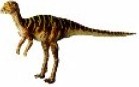 Walking with Dinosaurs Leaellynasaura