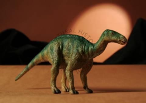 Toyway British Natural History Museum Iguanodon